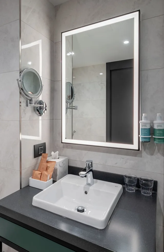 غرفة تنفيذية بسرير كينج، Novotel Tbilisi Center 5/10