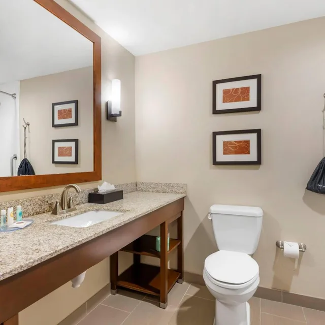 جناح بسريرين كوين مع أريكة لذوي الإعاقة، Comfort Suites West Omaha, NE 7/8