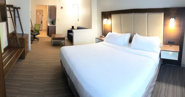 جناح بسرير كينج مع أريكة بحوض استحمام لذوي الإعاقة، Holiday Inn Express Hotel Suites Greenville 1/1