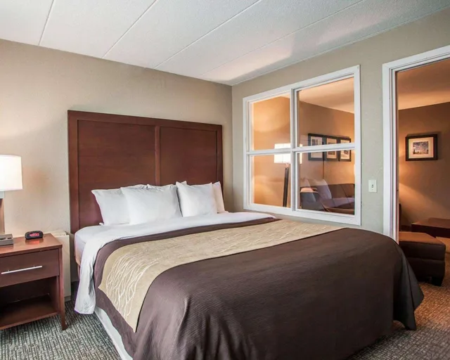 جناح بسرير كينج، Quality Inn & Suites Orland Park - Chicago 1/2