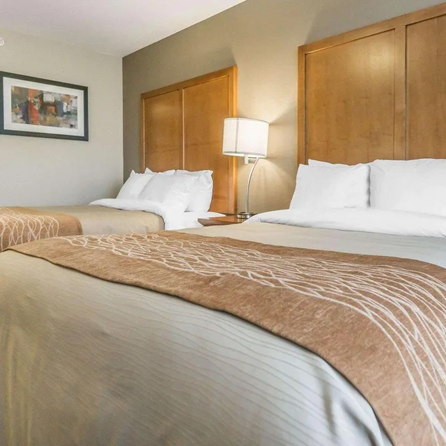 غرفة بسرير كينج وسريرين كوين، Comfort Inn & Suites Edmonton International Airport 4/8