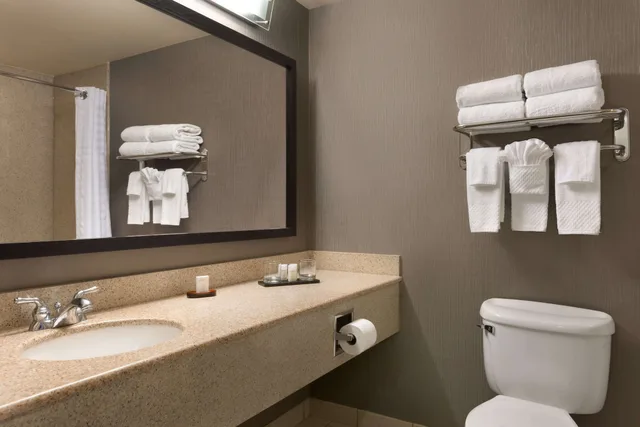 غرفة أساسية بسرير كينج، Embassy Suites by Hilton Franklin Cool Springs 5/9