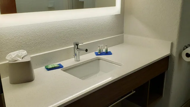 جناح تنفيذي بسرير كينج، Holiday Inn Express Hotel & Suites Weslaco 6/6