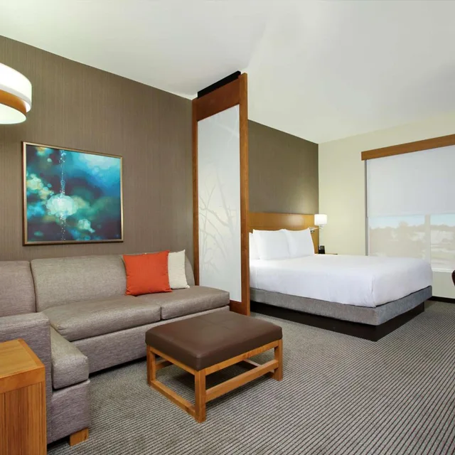 جناح بسرير كينج لذوي الإعاقة، HYATT PLACE HOUSTON NW VINTAGE PARK 1/2