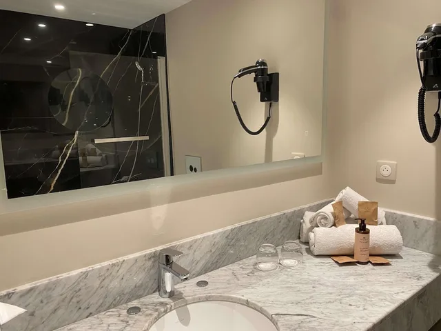 غرفة سوبيريور بسرير مزدوج بإطلالة على المسبح، MERCURE ORLEANS CENTRE 8/9