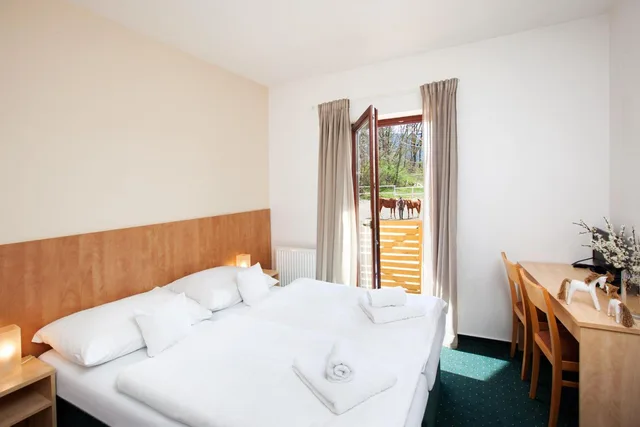 غرفة بسرير مزدوج أو سريرين منفصلين، Hotel Panská Lícha 1/8
