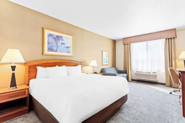 غرفة بسرير كينج لذوي الإعاقة، Comfort Inn & Suites I-25 near Spaceport America 2/3