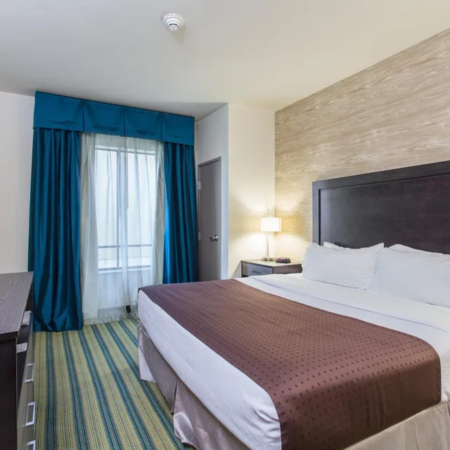 جناح بسرير كينج بجاكوزي، Holiday Inn Texarkana Arkansas Conv Ctr 1/6