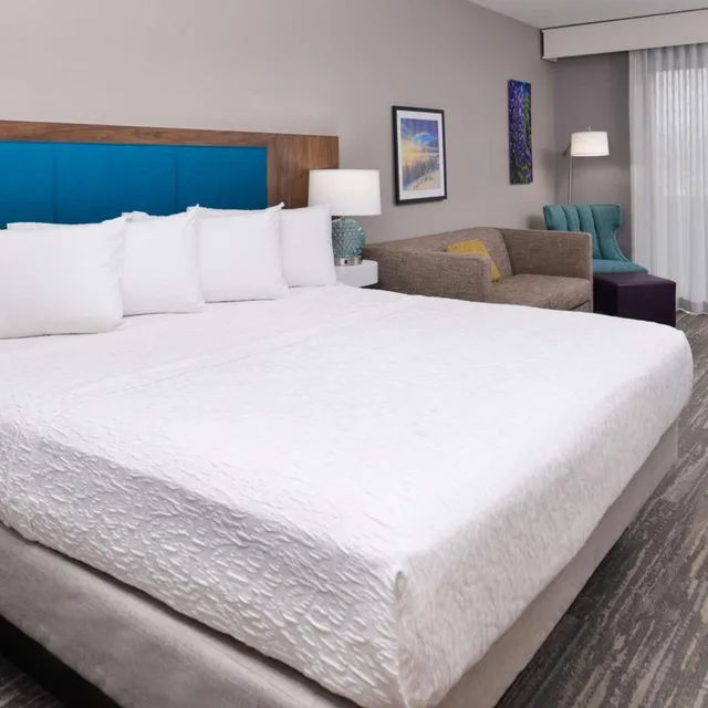 استوديو ديلوكس بسرير كينج، Hampton Inn & Suites Boise/Spectrum 1/7
