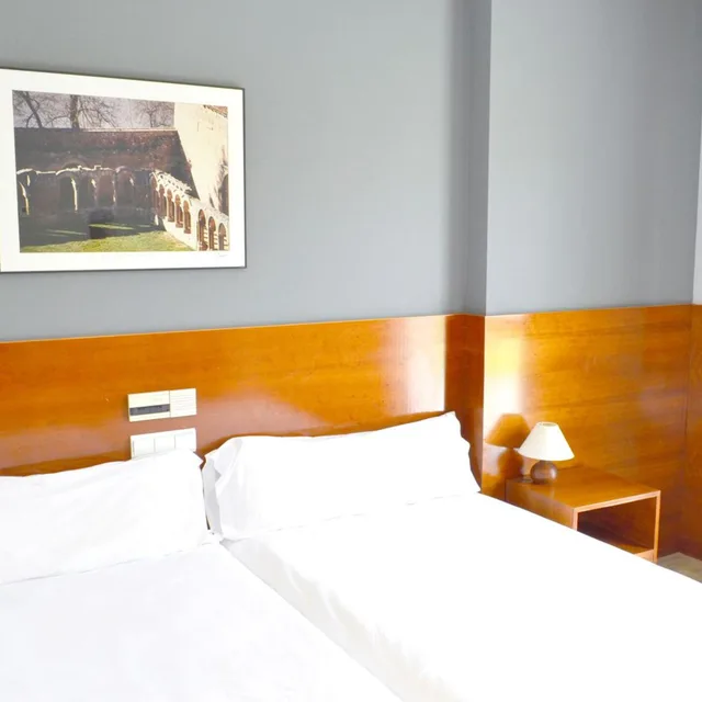 Standard, Double or Twin Bed, Hotel Alda Ciudad de Soria 2/9