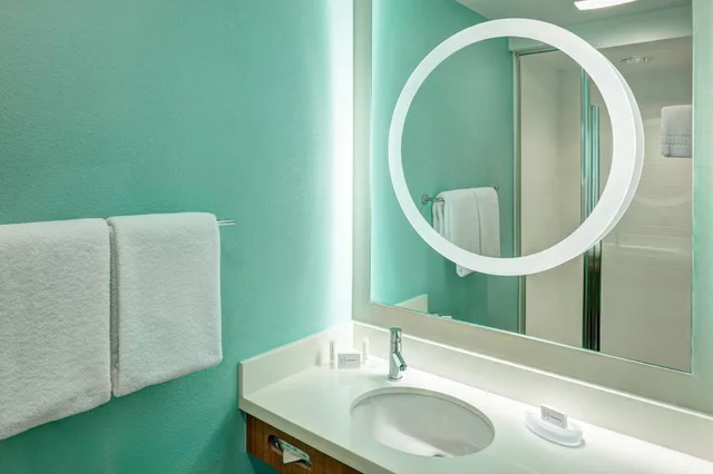 استوديو بسرير كينج، Springhill Suites by Marriott Orlando at Seaworld 2/4