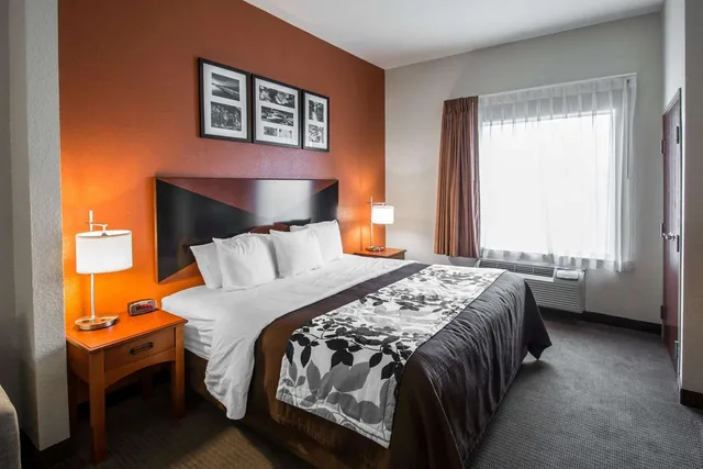 جناح بسرير كينج لذوي الإعاقة، Sleep Inn & Suites Palatka North 1/1