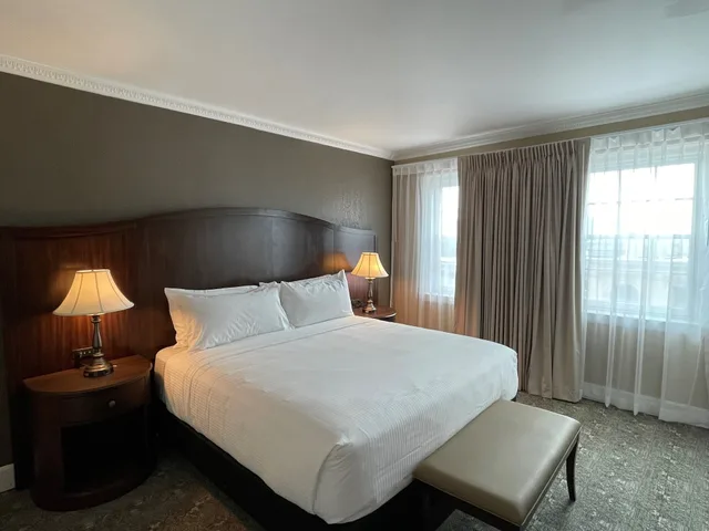 جناح ديلوكس بسرير كينج بغرفة نوم واحدة، The Americus Hotel Trademark Collection by Wyndham 1/10