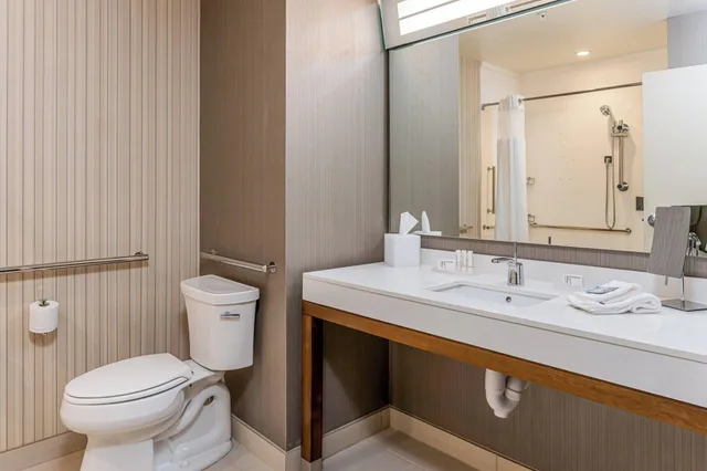 غرفة بسرير مزدوج لذوي الإعاقة، Courtyard by Marriott Asheville Biltmore Village 2/4