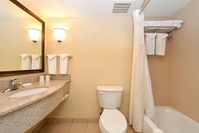 جناح بسرير كينج بغرفة نوم واحدة لذوي الإعاقة، Hilton Garden Inn Terre Haute 3/4