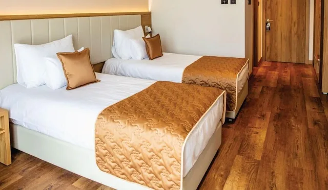 غرفة سوبيريور بسريرين منفصلين بشرفة، Movenpick Resort and Spa Fruske Terme 7/10