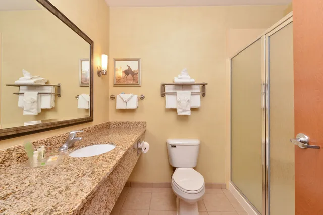 جناح بسرير كينج بغرفة نوم واحدة، Holiday Inn Laramie 4/6