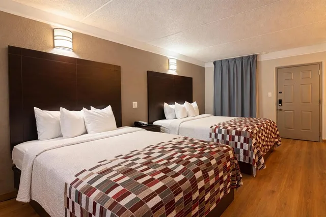 جناح بسريرين كوين وسرير كوين بمطبخ، Red Roof Inn and Suites Houston Hobby Airport 9/10