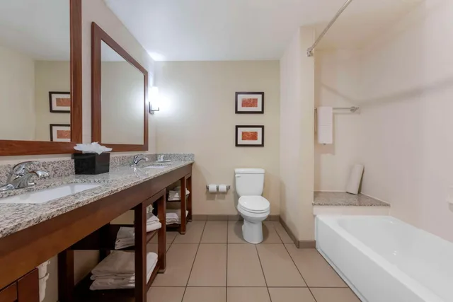جناح بسرير كوين، Comfort Suites & Conference Center Worthington MN 6/6