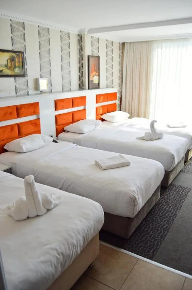غرفة قياسية ثلاثية بثلاثة أسرّة، Comfort Downtown Istanbul Hotel 2/3