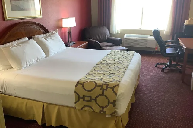 غرفة بسرير كينج يُسمح فيها بالحيوانات الأليفة، Baymont Inn & Suites by Wyndham Holbrook 1/1