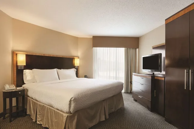 غرفة بسرير كينج بشرفة مع أريكة لذوي الإعاقة، Embassy Suites by Hilton Birmingham 4/10