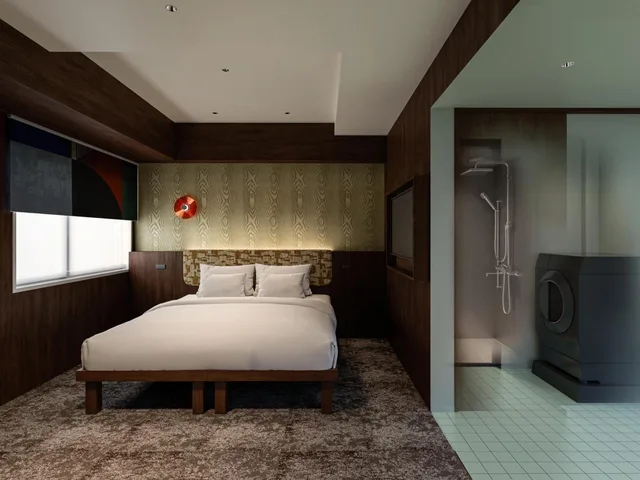 Renovated, Deluxe, King Bed، Tokyu Stay Shinjuku 1/1