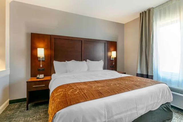 جناح بسرير كينج، Comfort Suites North Tupelo, MS 1/2