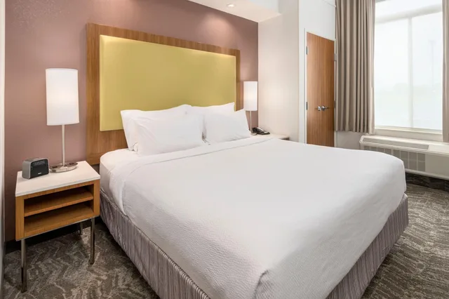 استوديو بسرير كينج، Springhill Suites By Marriott Lafayette South At River Ranch 2/3