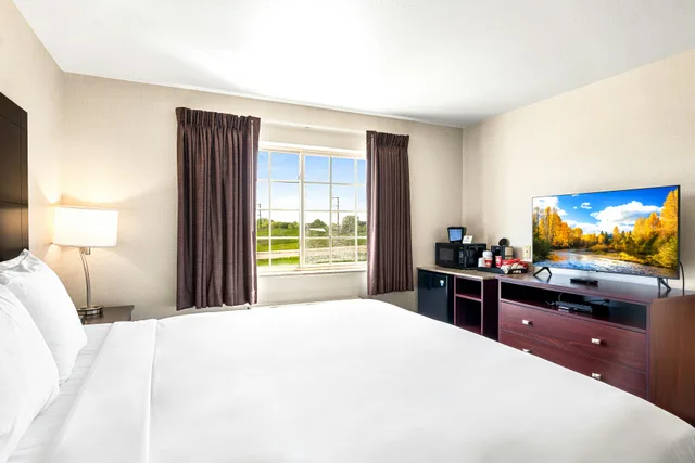 Suite, King Bed, Boarders Inn Amp Suites 7/10