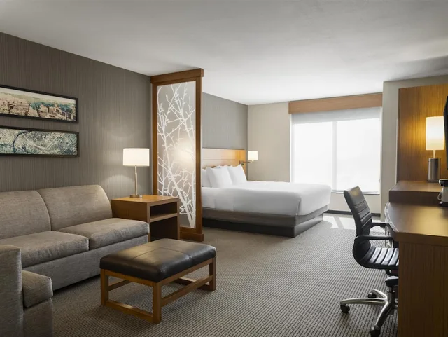 غرفة بسرير كينج مع أريكة في طابق مرتفع، Hyatt Place West Des Moines/Jordan Creek 3/4
