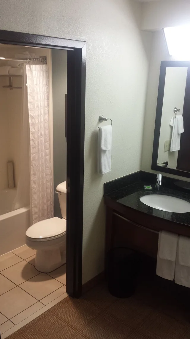 غرفة قياسية بسرير كينج مع أريكة، Hyatt Place Columbus/Dublin 6/7