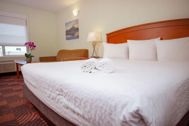 غرفة أساسية مفردة، Service Plus Inns and Suites Calgary 1/3