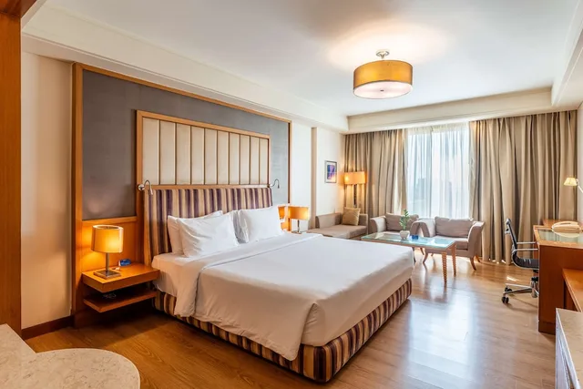 غرفة ديلوكس بسرير كينج، Radisson Blu Hotel Indore 4/10