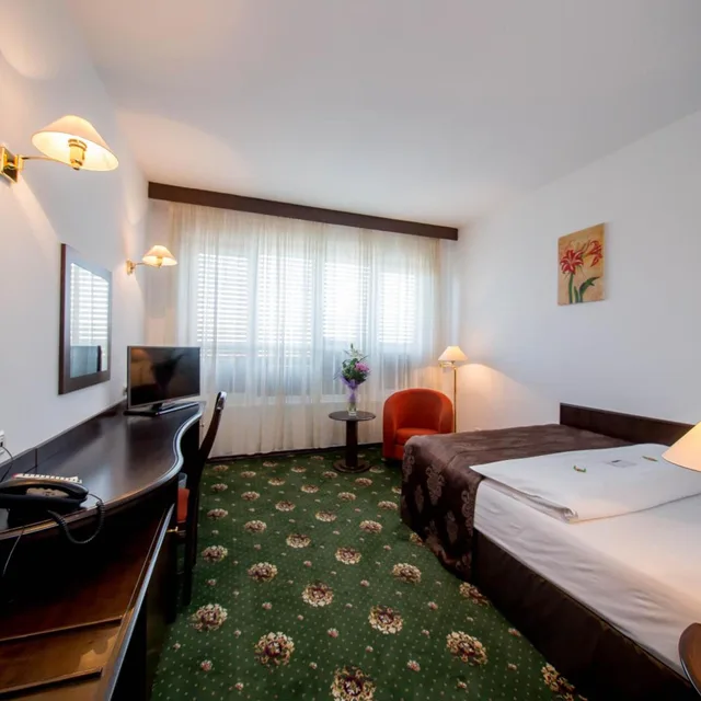 Standard, Single, Best Western Central Hotel 3/10