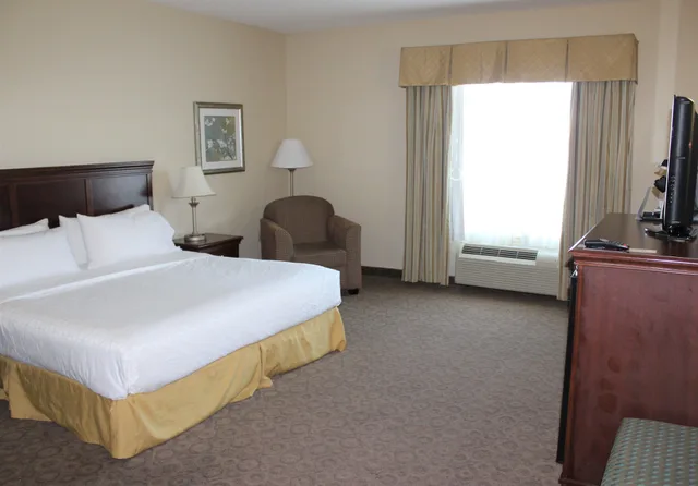 غرفة قياسية بسرير كينج لذوي الإعاقة، Holiday Inn Express Hotel And Suites Cedar Hill 1/9