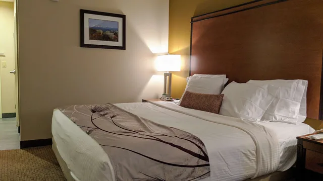 غرفة قياسية بسرير كينج، Best Western Bend North 3/9