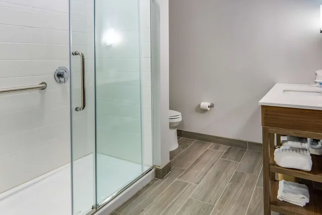 Efficiency, Suite, King Bed, Comfort Suites DeSoto Dallas South 4/4