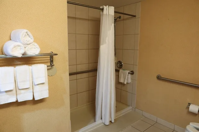 غرفة بسرير كينج لذوي الإعاقة، GreenTree Hotel Phoenix West 9/9
