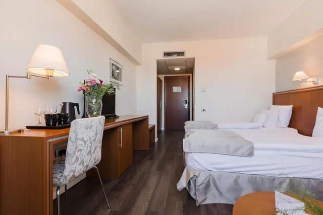 غرفة بزنس بسرير مزدوج أو سريرين منفصلين، Hotel Timisoara 4/10