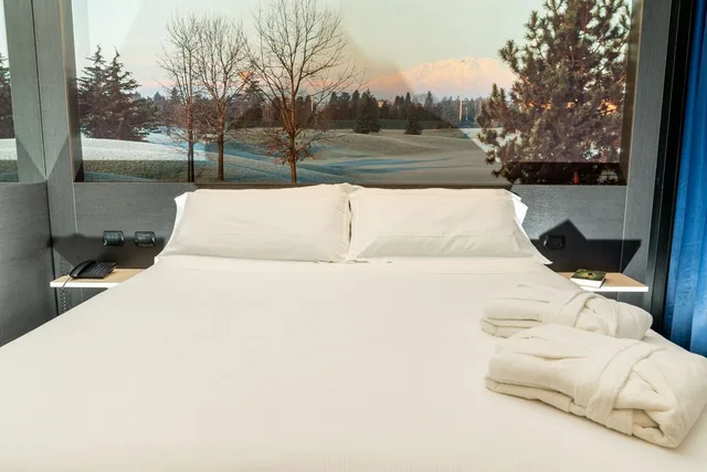 غرفة قياسية بإطلالة على الحديقة مفردة بسرير مزدوج، Hotel Pineta 4/6