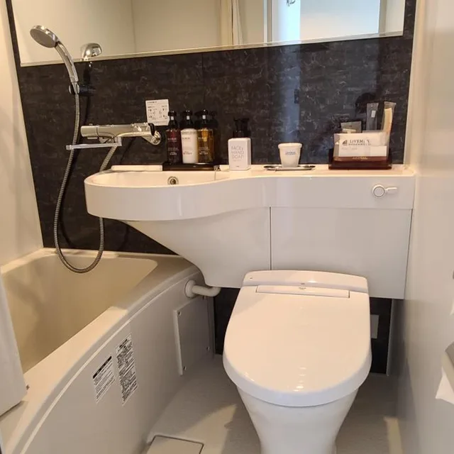Room, Semi Double Bed, Smoking, Hotel Livemax Akasaka GRANDE 4/4