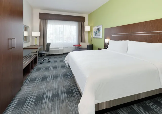 غرفة قياسية بسرير كينج يُسمح فيها بالحيوانات الأليفة، Holiday Inn Express Suites Farmers Branch 5/10