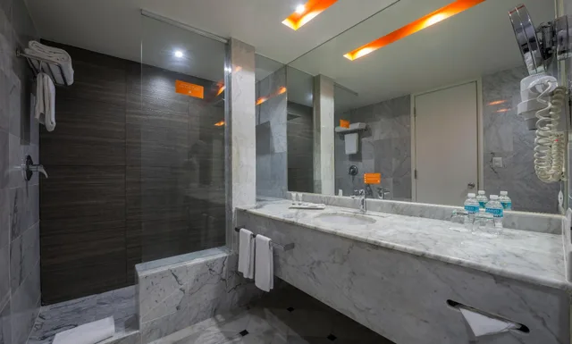 غرفة بسرير مزدوج، Real Inn Tijuana by Camino Real Hotels 3/3