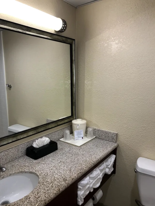 جناح بسرير كينج مع أريكة لذوي الإعاقة، Comfort Suites Outlet Center 10/10