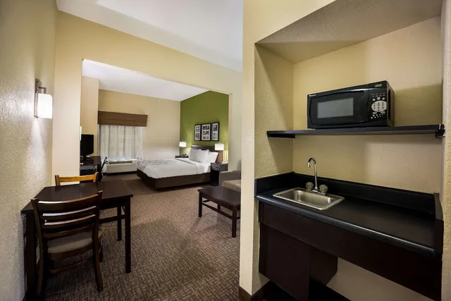 Suite, King Bed, Sofa, Sleep Inn & Suites Valdosta Mall Area 6/6