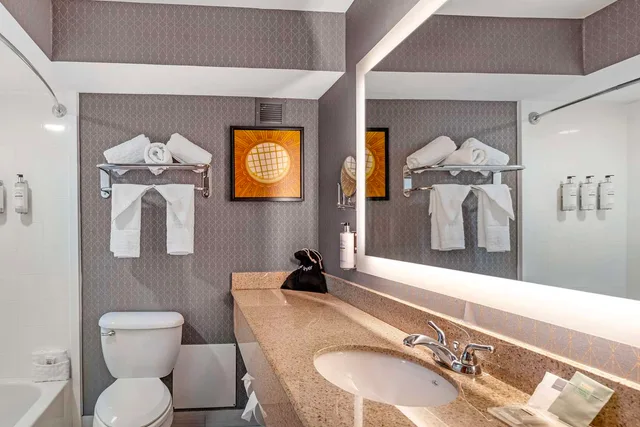 غرفة بسرير كينج بحوض استحمام لذوي الإعاقة، Best Western Premier Richmond City Gateway 4/4