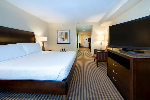 جناح جونيور بسرير كينج مع أريكة، Hilton Garden Inn Columbia Northeast 1/4