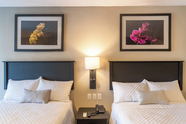 غرفة بزنس بسريرين مزدوجين، Conquistador Hotel And Conference Center 3/3