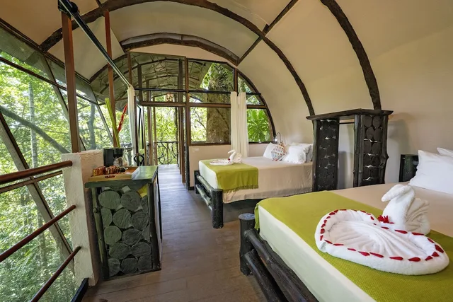 Tree House, 2 Queen Beds, Mountain View، Maquenque Eco-Lodge 2/9